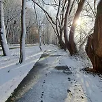 W Palacu Lubiechowo * Lubiechowo (Bialogard)